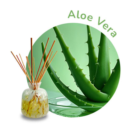 Varitas aromáticas Aloe vera